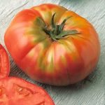 Tomato ‘Brandywine’ – Heritage