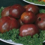 Tomato ‘Black Russian’ – Heritage