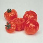 Tomato ‘Striped Stuffer’ – Heritage