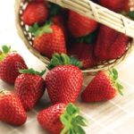 Strawberry ‘Albion’ (Everbearer/ All Season)