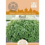 Basil ‘Aristotle’ – Kew Collection Seeds