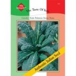 Kale ‘Cavolo Palmizio Senza Testa’ – Vita Sementi Italian Seeds