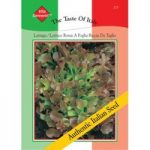 Lettuce ‘Rossa a Foglia Riccia da Tavolo’ (Loose-Leaf) – Vita Sementi Italian Seeds