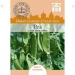 Pea ‘Sugar Snow Green’ (Mangetout)