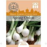 Spring Onion ‘Pompeii’