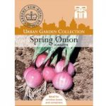 Spring Onion ‘Purplette’