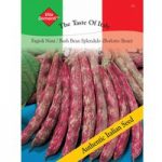 Dwarf Bean ‘Splendido’ (Borlotti Bean) – Vita Sementi Italian Seeds