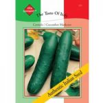 Cucumber ‘Cetriolo Marketer’ – Vita Sementi Italian Seeds