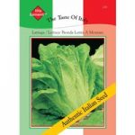 Lettuce ‘Bionda Lenta a Montare’ (Romaine) – Vita Sementi Italian Seeds