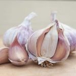Garlic ‘Germidour’ (Spring/Autumn Planting)