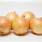 Onion ‘Vulcan’ (Spring Planting)