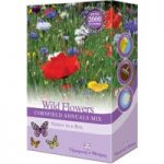 Wildflowers ‘Cornfield Annuals Mix’