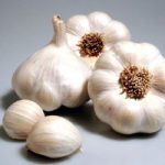 Garlic ‘Garcua’ (Spring/Autumn Planting)