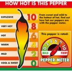 Chilli Pepper ‘Prairie Fire’ (Hot)