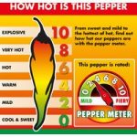Chilli Pepper ‘Padron’ (Medium – The Tapas Pepper)