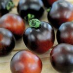 Tomato ‘Indigo Cherry Drops’