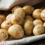 Potato ‘Lady Christl’
