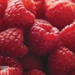 Raspberry ‘Glen Ample’ (Summer fruiting)