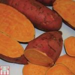 Sweet Potato ‘Carolina Ruby’