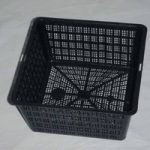 Square Aquatic Planting Basket 19cm / 2 litre