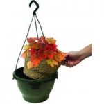 4 Heuchera Redstone Falls Hanging Basket Autumn Inserts Plastic