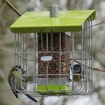 Geohaus Nut Bird Feeder – Lime Green