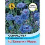 Thompson and Morgan Cornflower Dwarf Jubilee Gem – 200 seeds