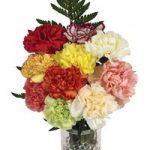 Mixed Carnations 10 Stems