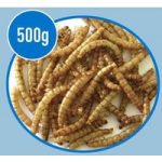 0.5kg Choice Dried Mealworms
