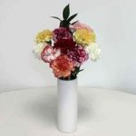 Mother's Day Mixed Carnations 10 Stems + Ceramic Vase