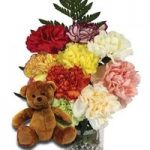 Mothers Day Mixed Carnations 10 Stems + Teddy