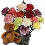 Mothers Day Mixed Carnations 15 Stems + Teddy