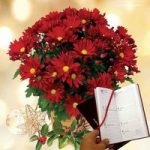 Chrysanthemum Plant with Metal Planter, tissue wrap plus Diary