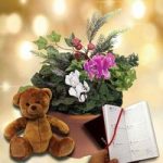 Christmas Mix Winter 2 Pre Planted Containers with Teddy Bear plus Diary
