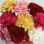 Mixed Christmas Carnations 10 Stems