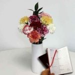 Mixed Christmas Carnations 10 Stems with Ceramic Vase plus Diary
