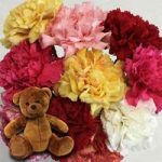 Mixed Christmas Carnations 10 Stems + Cuddly Bear
