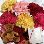 Mixed Christmas Carnations 10 Stems + Cuddly Bear plus Diary