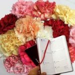 Mixed Christmas Carnations 15 Stems plus 2018 Diary