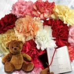 Mixed Christmas Carnations 15 Stems + Cuddly Bear plus Diary