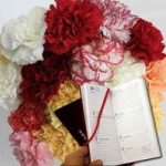 Mixed Christmas Carnations 20 Stems plus 2019 Diary