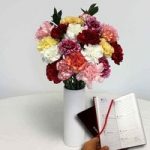 Mixed Christmas Carnations 20 Stems with Ceramic Vase plus Diary