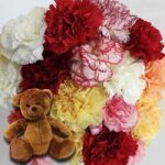 Mixed Christmas Carnations 20 Stems + Cuddly Bear
