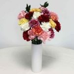 Mixed Christmas Carnations 20 Stems + Ceramic Vase