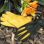 Gold Leaf Dry Touch Gloves