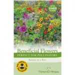 Flower Garden ‘Perfect for Pollinators’