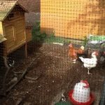 Poultry Extra Heavy-duty Side Netting