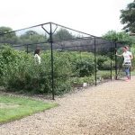Steel Fruit Cage With Butterfly Net