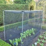 Harrod Stormproof (natural 1.2m H) Vegetable Cage