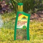 Organic Moss Control For Lawns